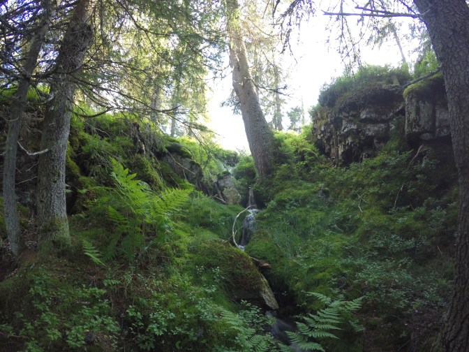 Trollsk og vakker natur.