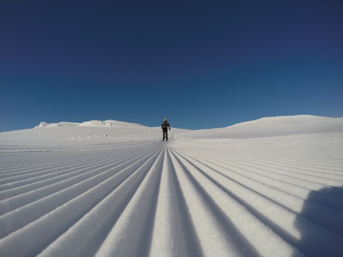 DCIM100GOPROG0135442.